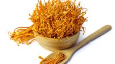 đông trùng hạ thảo trị bệnh gì